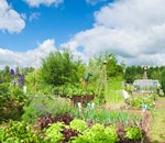 Bishop’s Stortford Town Council  - Ten Allotment Sites managed with Rialtas Allotments Management Solution